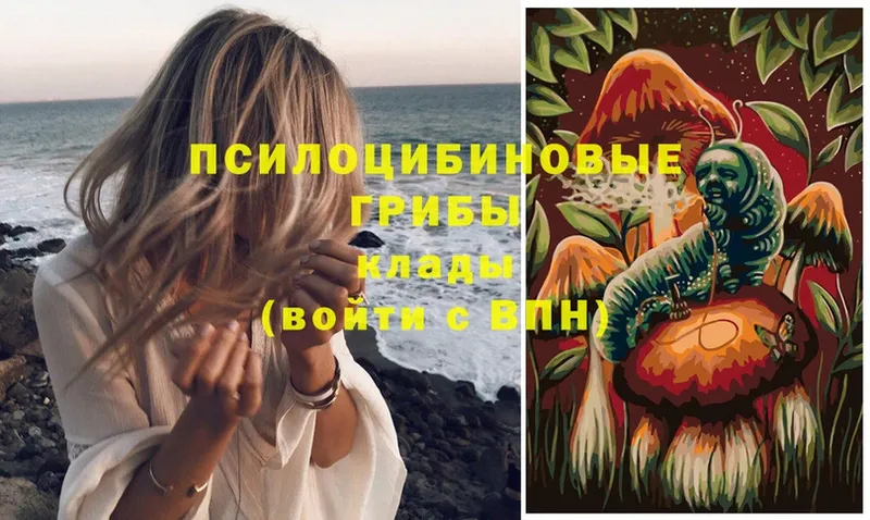 Псилоцибиновые грибы Magic Shrooms Боровск